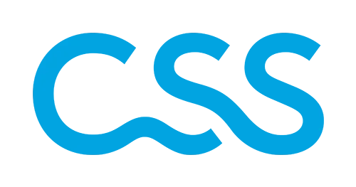 CSS Logo